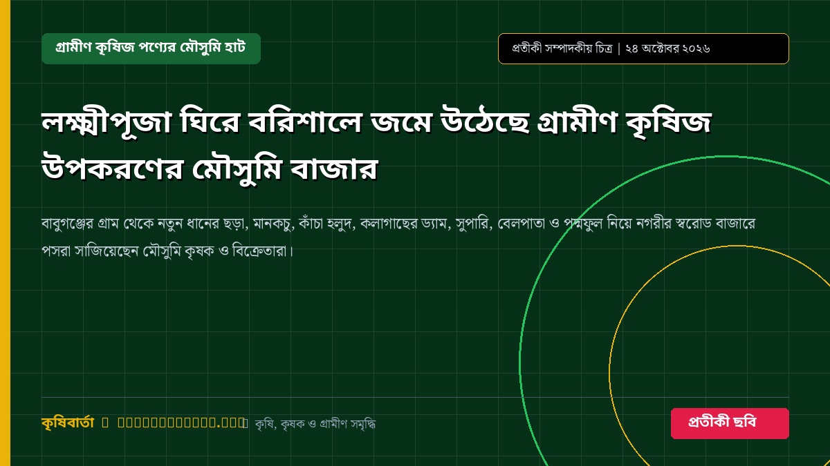 লক্ষ্মীপূজা ঘিরে বরিশালে জমে উঠেছে গ্রামীণ কৃষিজ উপকরণের মৌসুমি বাজার