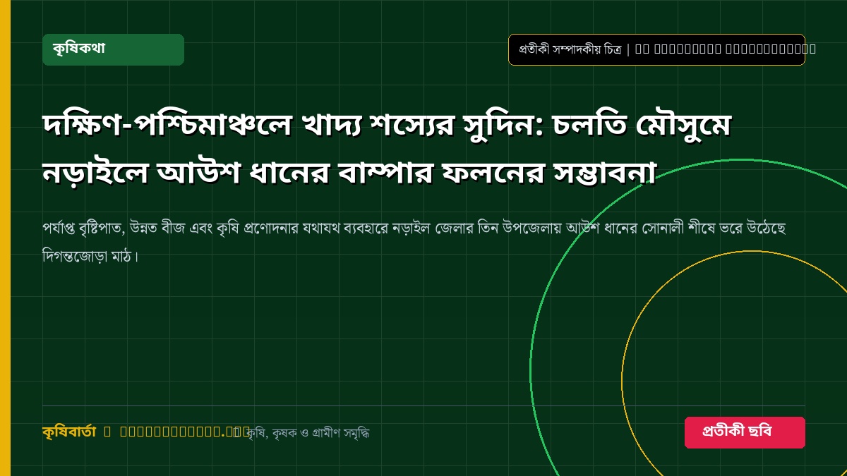 আউশ ধান কর্তন ও মাঠ প্রতীকী চিত্র