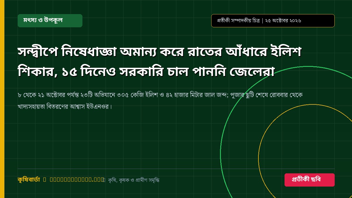 সন্দ্বীপে নিষেধাজ্ঞা অমান্য করে রাতের আঁধারে ইলিশ শিকার, ১৫ দিনেও সরকারি চাল পাননি জেলেরা